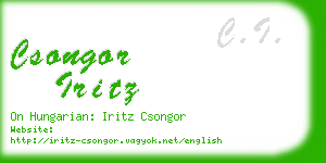 csongor iritz business card